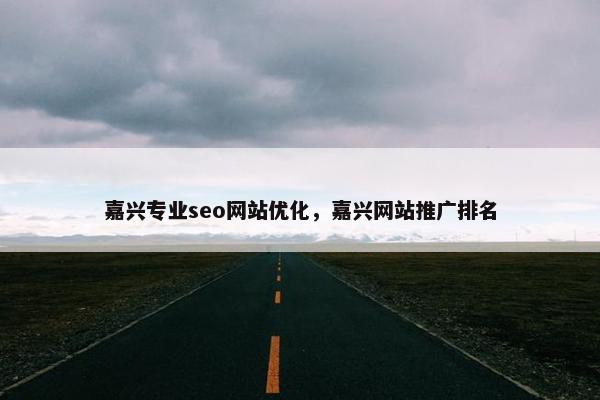嘉兴专业seo网站优化，嘉兴网站推广排名