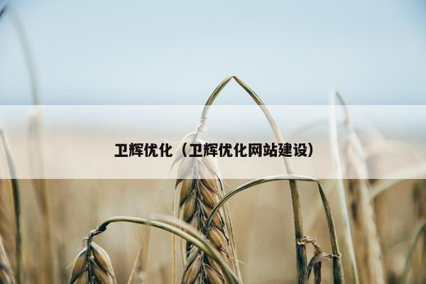 卫辉优化（卫辉优化网站建设）