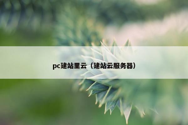 pc建站里云（建站云服务器）