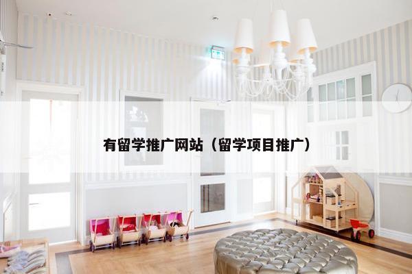 有留学推广网站（留学项目推广）
