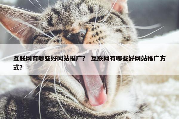 互联网有哪些好网站推广？ 互联网有哪些好网站推广方式？