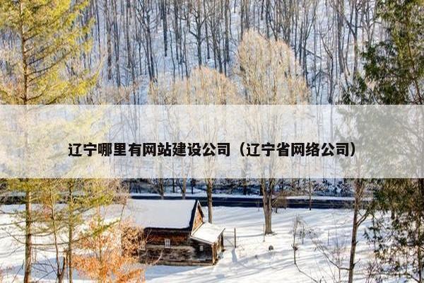 辽宁哪里有网站建设公司（辽宁省网络公司）