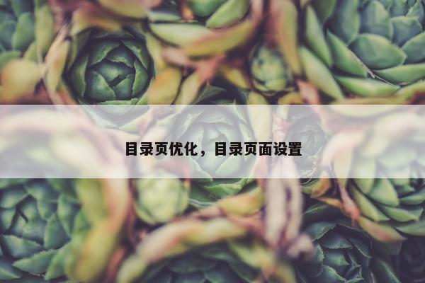 目录页优化，目录页面设置