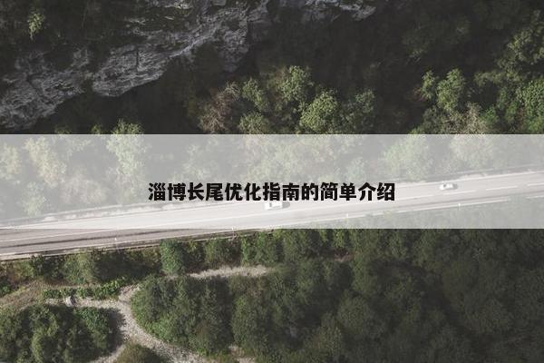淄博长尾优化指南的简单介绍