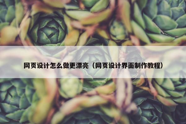 网页设计怎么做更漂亮（网页设计界面制作教程）