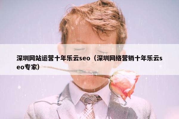 深圳网站运营十年乐云seo（深圳网络营销十年乐云seo专家）