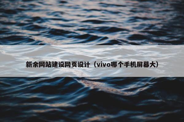 新余网站建设网页设计（vivo哪个手机屏幕大）