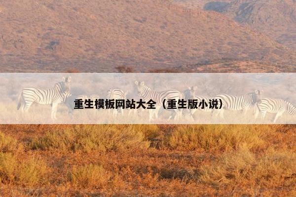 重生模板网站大全（重生版小说）