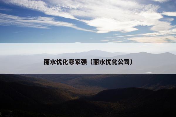 丽水优化哪家强（丽水优化公司）