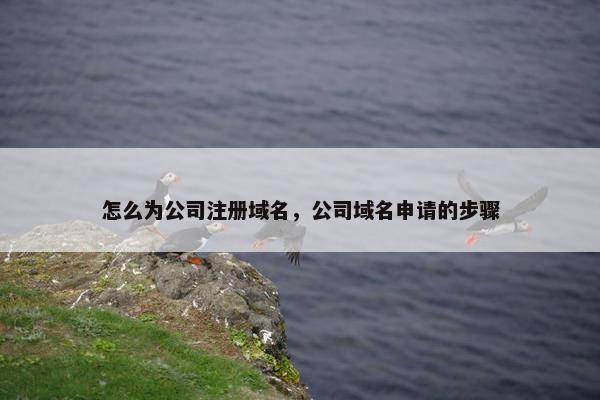 怎么为公司注册域名，公司域名申请的步骤