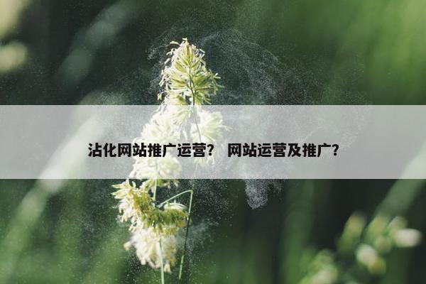 沾化网站推广运营？ 网站运营及推广？