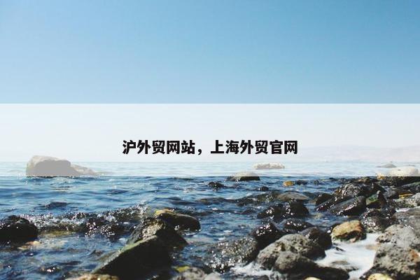 沪外贸网站，上海外贸官网