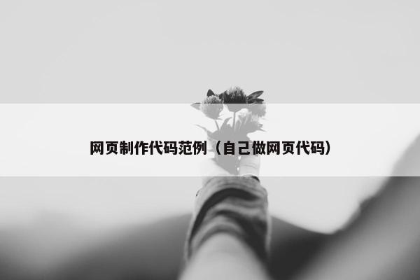 网页制作代码范例（自己做网页代码）