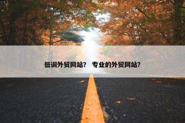 低调外贸网站？ 专业的外贸网站？