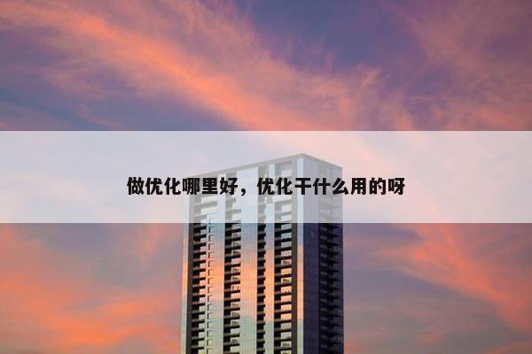 做优化哪里好，优化干什么用的呀
