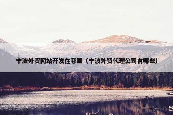 宁波外贸网站开发在哪里（宁波外贸代理公司有哪些）