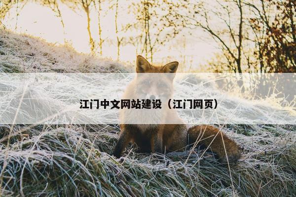 江门中文网站建设（江门网页）