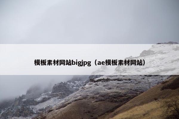 模板素材网站bigjpg（ae模板素材网站）