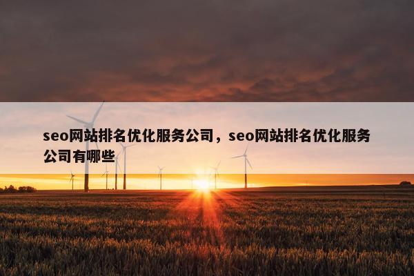 seo网站排名优化服务公司，seo网站排名优化服务公司有哪些