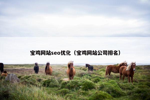 宝鸡网站seo优化（宝鸡网站公司排名）