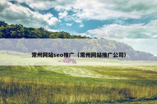 常州网站seo推广（常州网站推广公司）