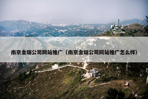 南京金瑞公司网站推广（南京金瑞公司网站推广怎么样）