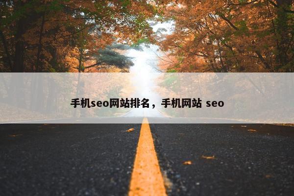 手机seo网站排名，手机网站 seo