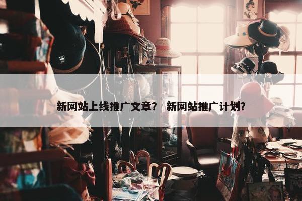 新网站上线推广文章？ 新网站推广计划？
