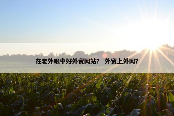 在老外眼中好外贸网站？ 外贸上外网？