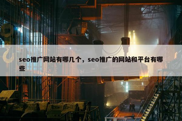 seo推广网站有哪几个，seo推广的网站和平台有哪些