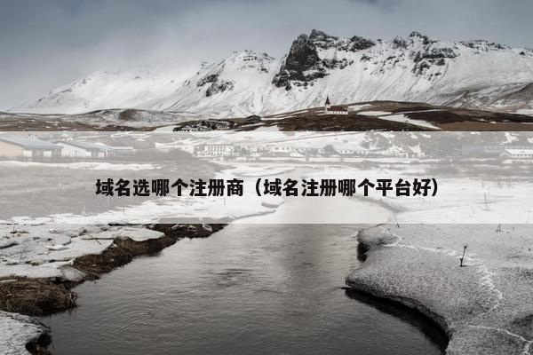 域名选哪个注册商（域名注册哪个平台好）