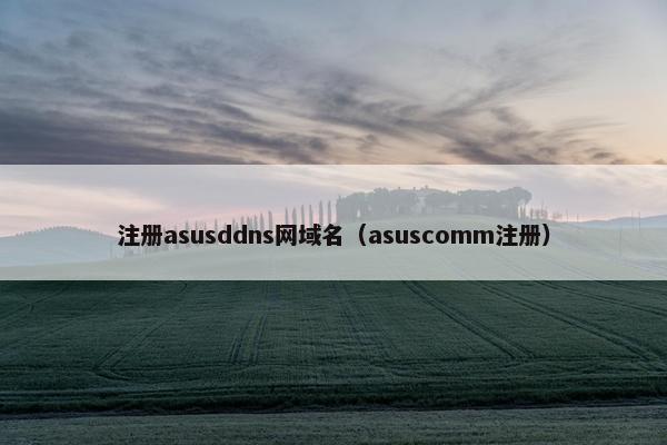 注册asusddns网域名（asuscomm注册）