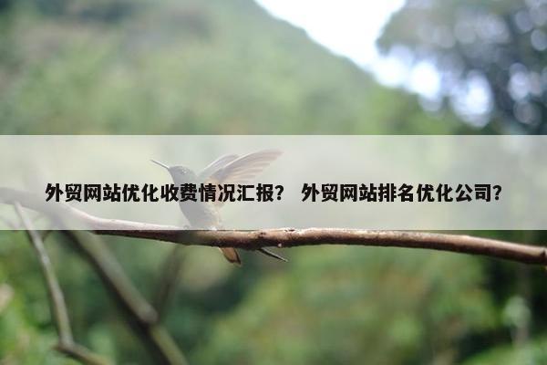 外贸网站优化收费情况汇报? 外贸网站排名优化公司?
