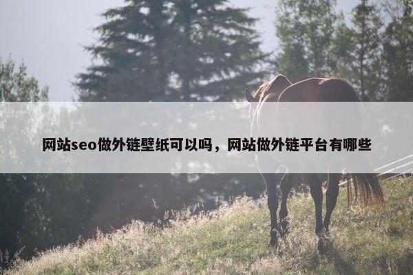 网站seo做外链壁纸可以吗，网站做外链平台有哪些