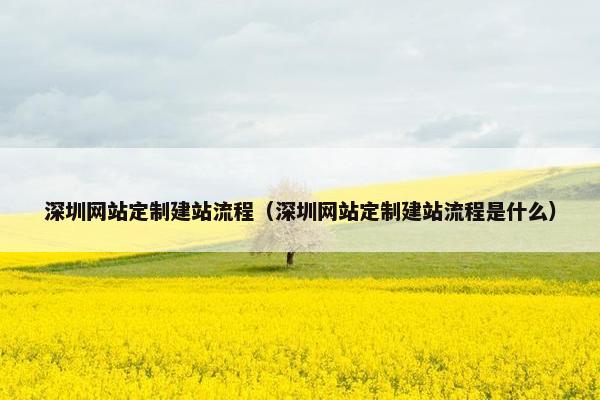 深圳网站定制建站流程（深圳网站定制建站流程是什么）