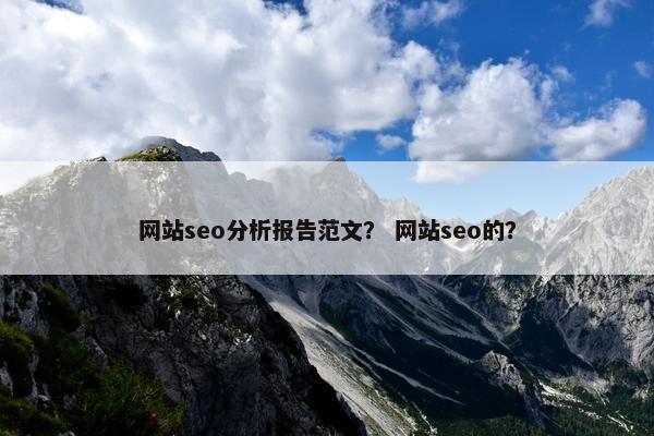 网站seo分析报告范文？ 网站seo的？