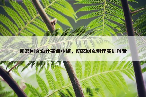 动态网页设计实训小结,动态网页制作实训报告