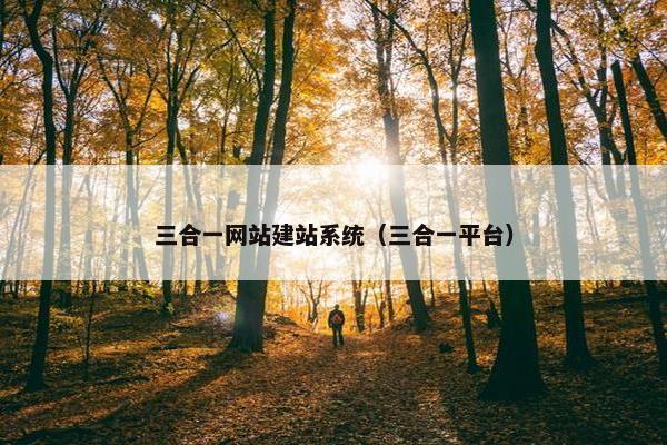 三合一网站建站系统(三合一平台)