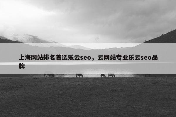 上海网站排名首选乐云seo，云网站专业乐云seo品牌