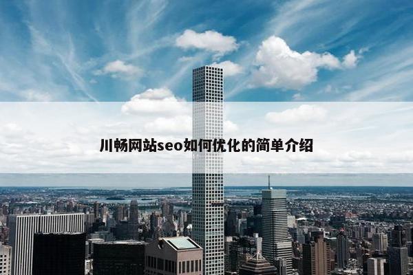 川畅网站seo如何优化的简单介绍