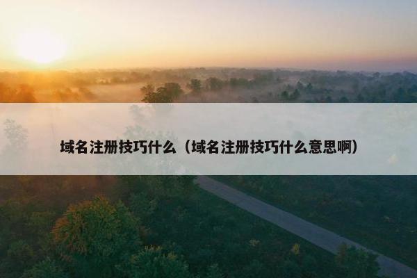 域名注册技巧什么（域名注册技巧什么意思啊）