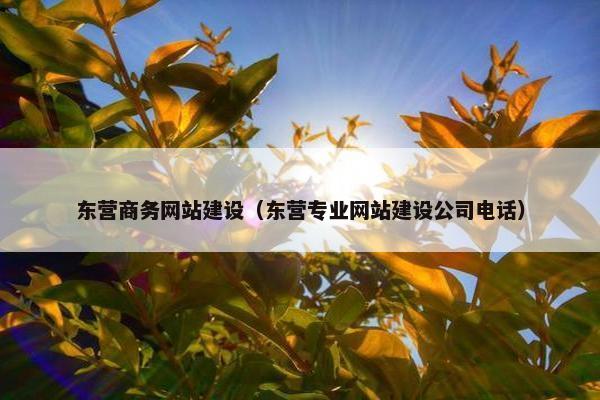 东营商务网站建设(东营专业网站建设公司电话) 东营商务网站建设(东营专业网站建设公司电话)