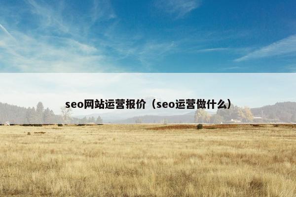 seo网站运营报价(seo运营做什么)