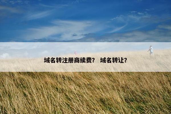 域名转注册商续费? 域名转让?