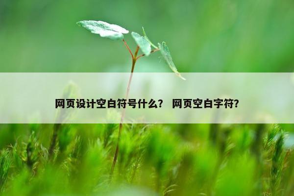 网页设计空白符号什么? 网页空白字符? 网页设计空白符号什么? 网页空白字符?