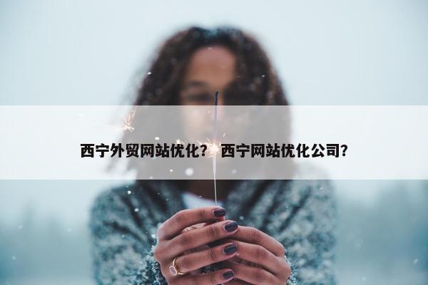 西宁外贸网站优化? 西宁网站优化公司?