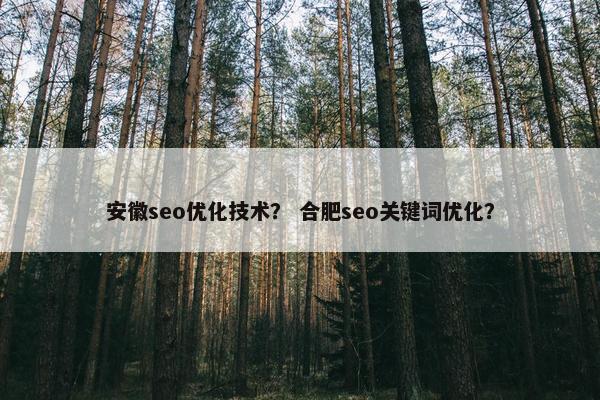 安徽seo优化技术? 合肥seo关键词优化? 安徽seo优化技术? 合肥seo关键词优化?