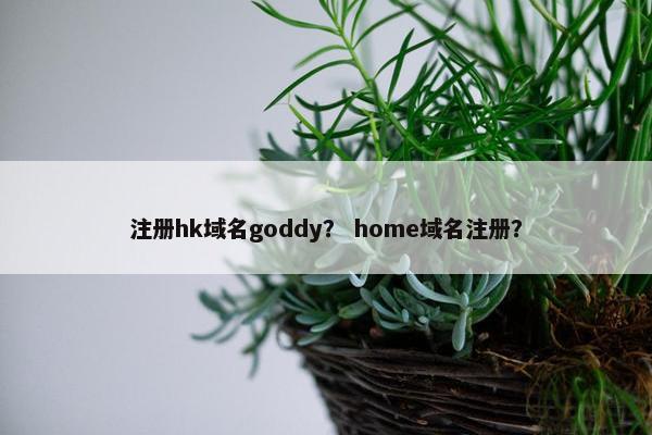 注册hk域名goddy? home域名注册?