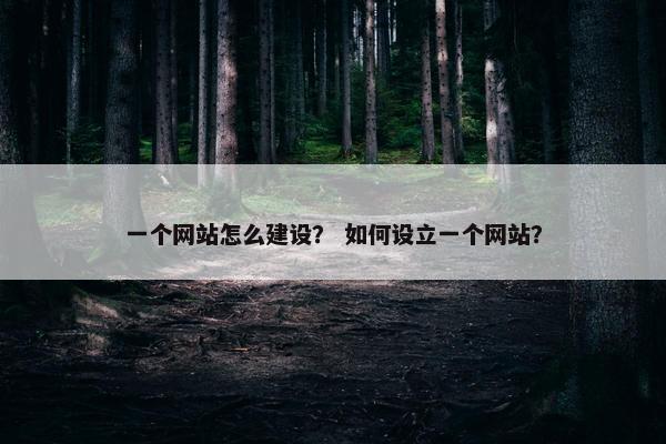 一个网站怎么建设? 如何设立一个网站? 一个网站怎么建设? 如何设立一个网站?