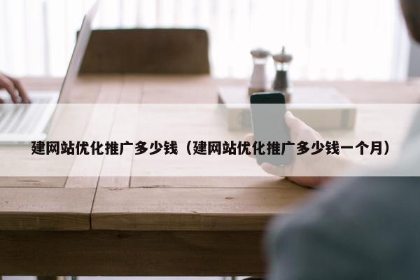 建网站优化推广多少钱(建网站优化推广多少钱一个月)